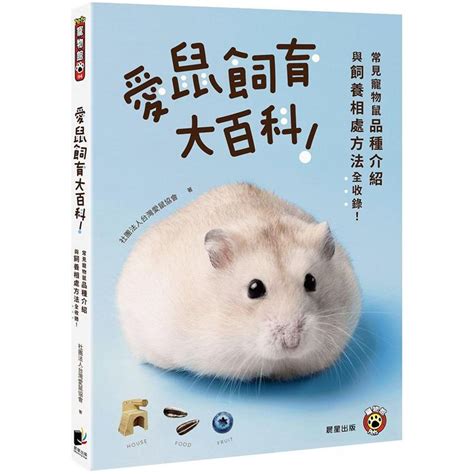 寵物老鼠種類|愛鼠飼育大百科：常見寵物鼠品種介紹與飼養相處方法。